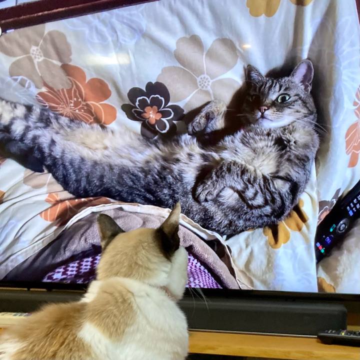 5a3a78e9 aba3 4a3c aedd 3baf6932e8a5 1673994105957