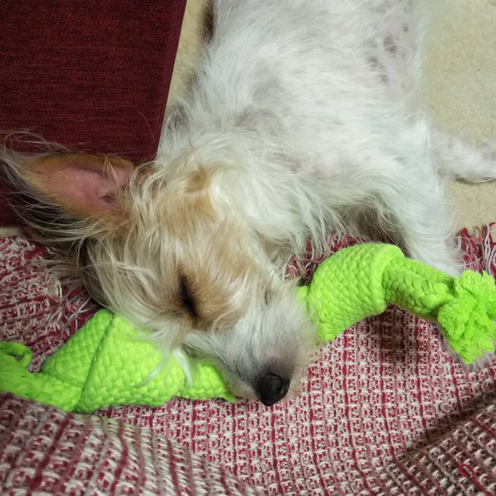 5a3a82b9 640f 43c1 a533 84d09ce10e7a 1525957158301