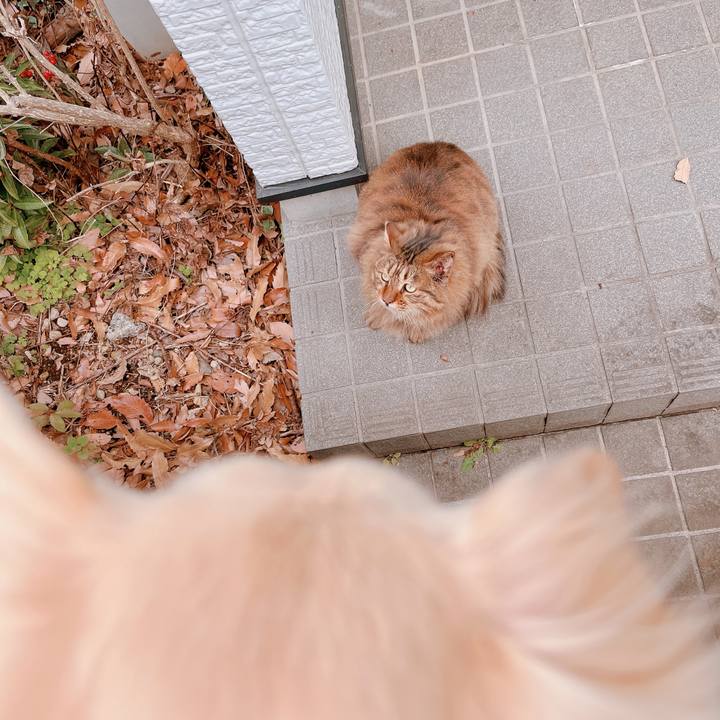 5a3a8917 ef78 44fb 94f7 e344f2a456c8 1674121704141