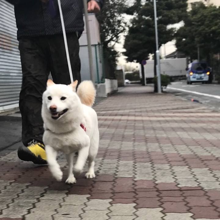 5a3ab5b9 7219 41ca 80cf f43fa0234f7b 1520564233190