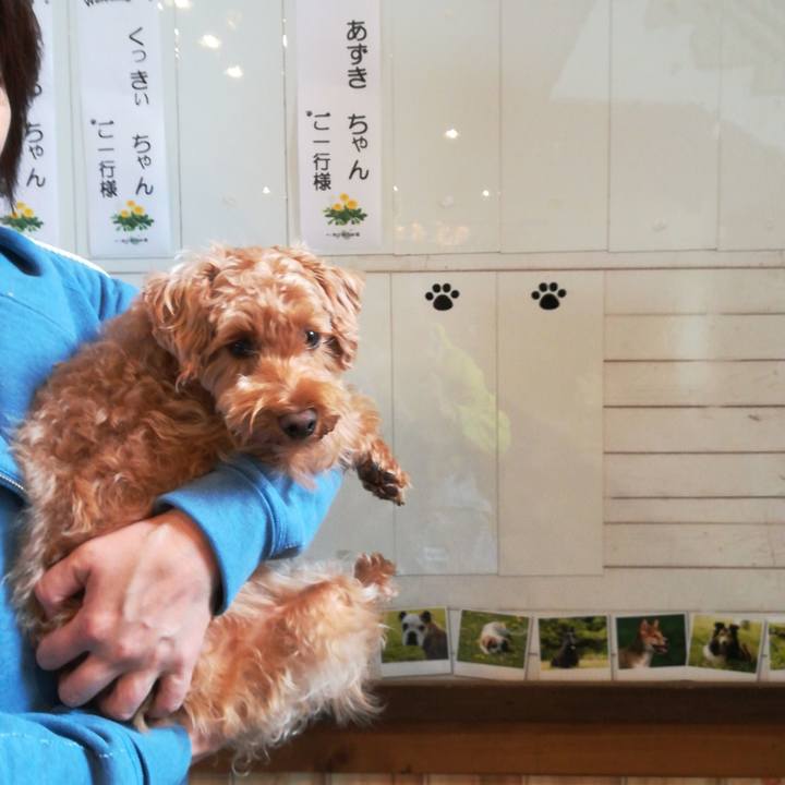 5a3ad744 8692 4438 9ac9 8c2d65876f8f 1526694757947