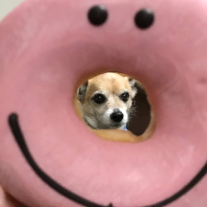 5a3aebac 8f0e 4171 b93c 33d96ece1099 1646128211133