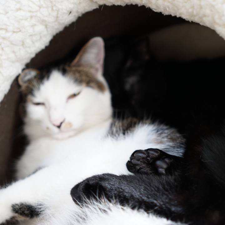 5a3b3464 e286 4851 b550 670a4072262d 1512303227522