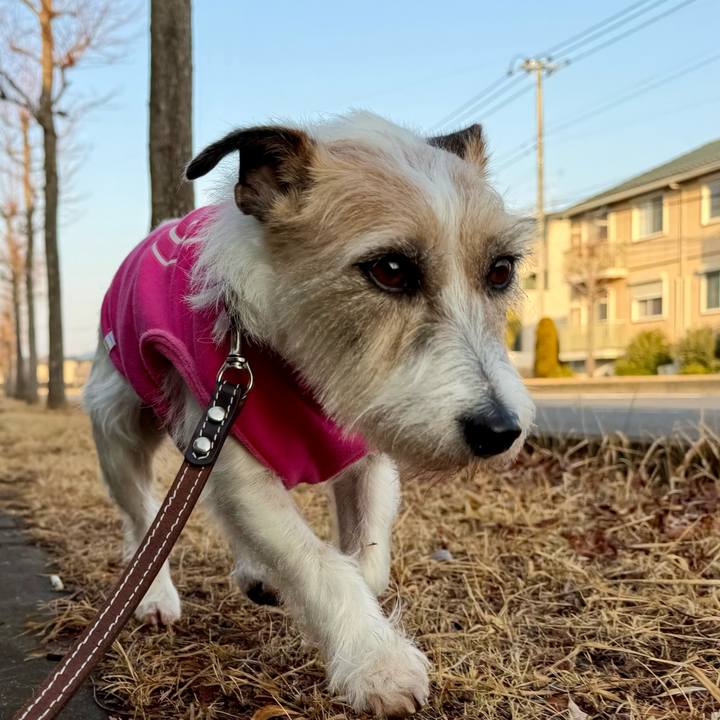 5a3b55c0 ff97 452d bb06 a27555d7e81d 1771132368295