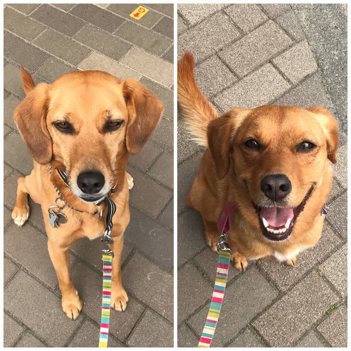 5a3b57c7 7690 4c57 bf7b 84cd5637f781 1527483855670