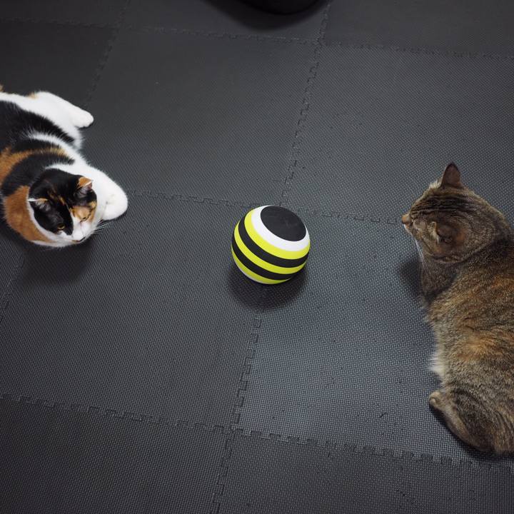 5a3b6d5d 06e3 441e 85bc 27a8c0b388f2 1530541764619