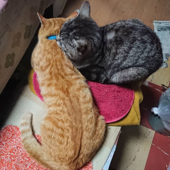 5a3bac6b 32ca 4658 8540 b0e78cae2b07 1556617666950