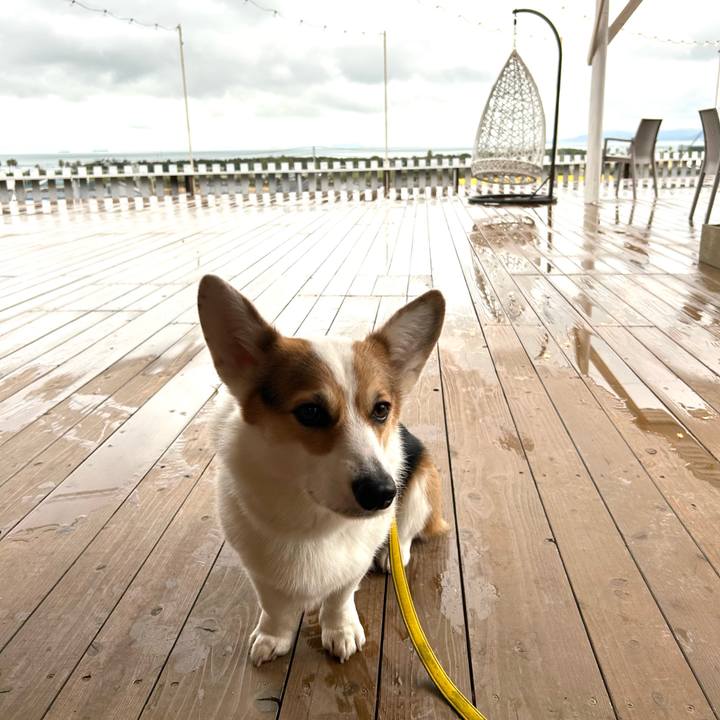 5a3bac8d d7dc 4587 bce7 f9f7a1356140 1766669458510