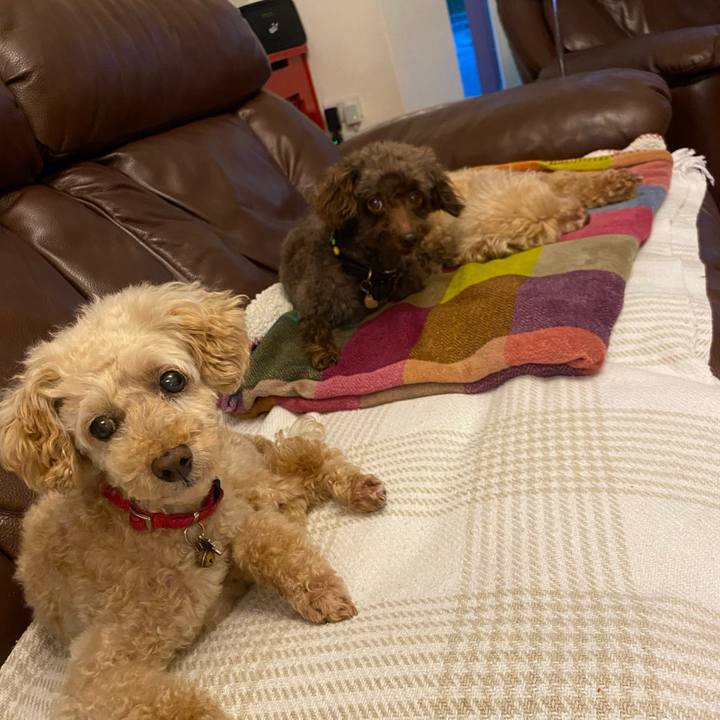 5a3bdb5f 0ca1 4199 93e0 f6c864e9258e 1721482920272