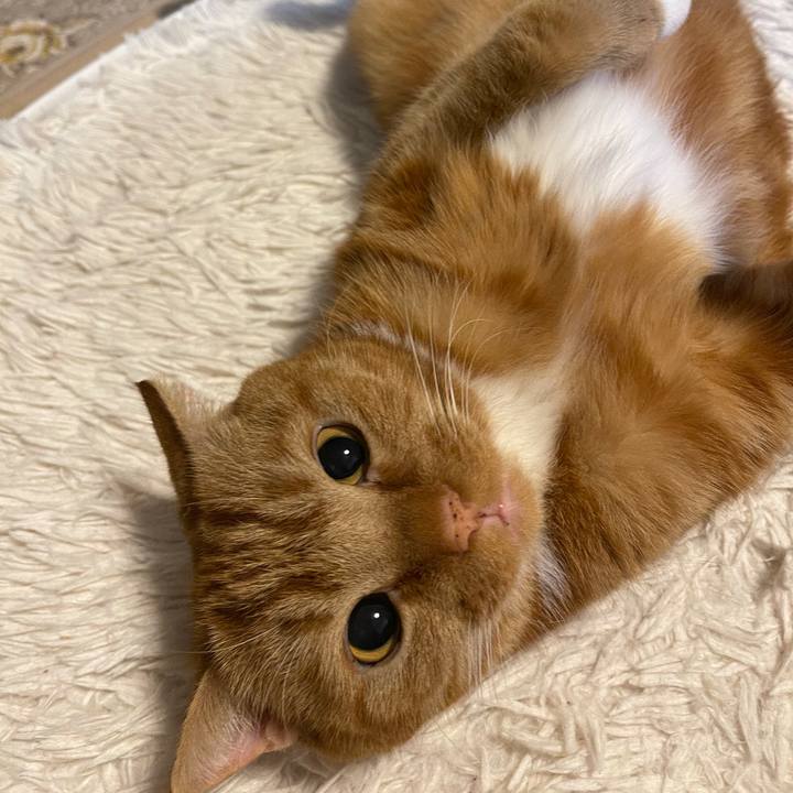 5a3c3dbb 2c6e 4b1a aa43 97950077d516 1614603846453