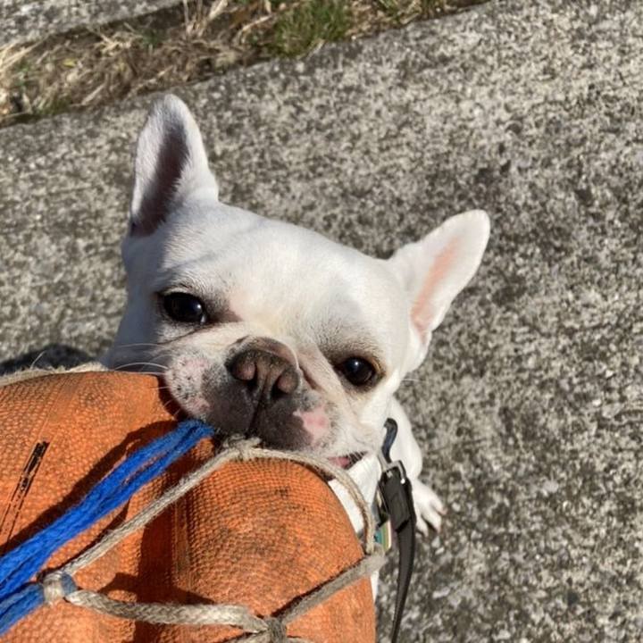 5a3c400f 8670 4031 9ade 2839120f62c7 1647691568294