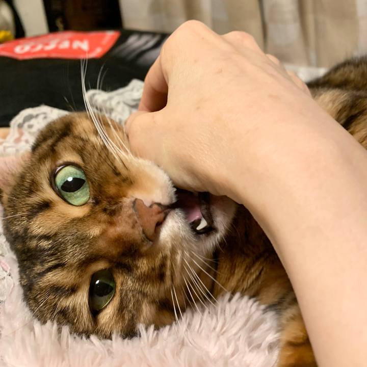 5a3cf0fe fbd7 466a 8ebb fa0fa85233ae 1610401406081