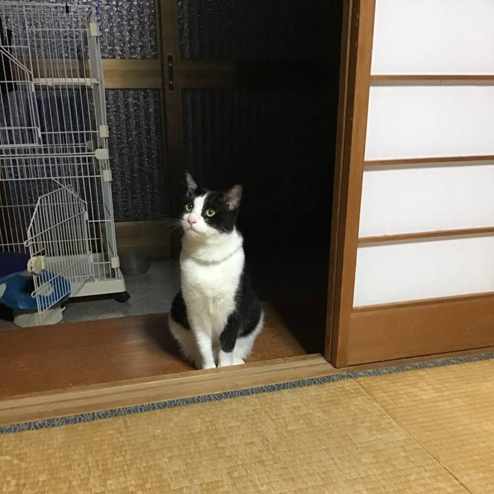 5a3cf186 d73e 4f01 9ab3 3de521e0789d 1694773033460