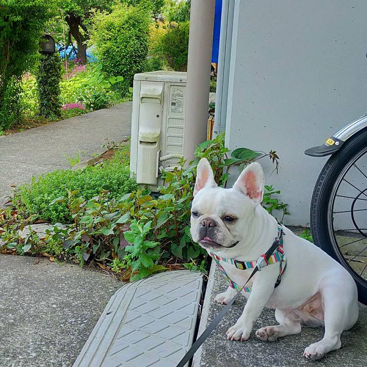 5a3d0203 8ba0 4708 87bb 16a58526aeec 1652162544930