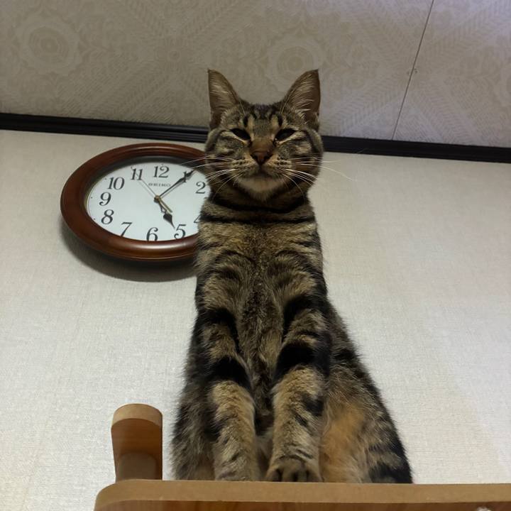 5a3d20d7 ba33 48f2 9bd7 ac4122ae766b 1757189082450