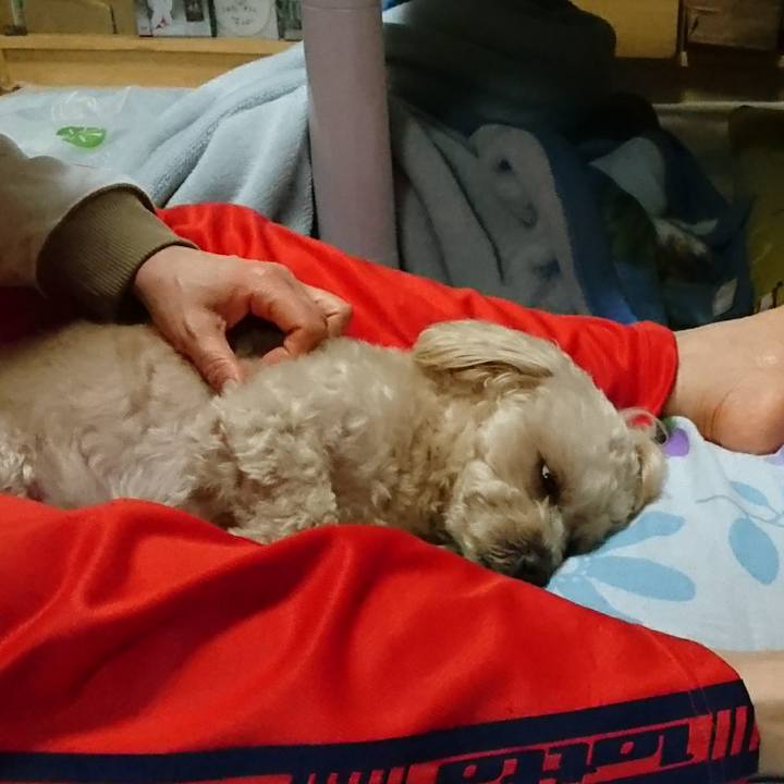 5a3d8b3c 8809 42ef 91df 4d0d87d6f498 1526217660261