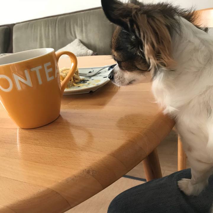 5a3de4ee eeb2 4cf2 8ac2 2804aa0d87a7 1510034505058