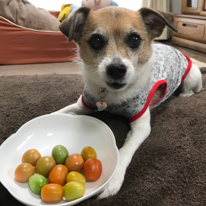 5a3e0bb6 d52b 4419 a51b 084dbde034f8 1593993927308