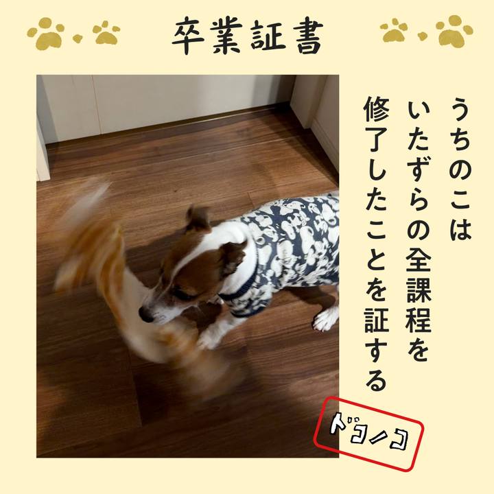 5a3e2d11 b66d 4c66 94f6 3aa0ec8d474e 1771927204173