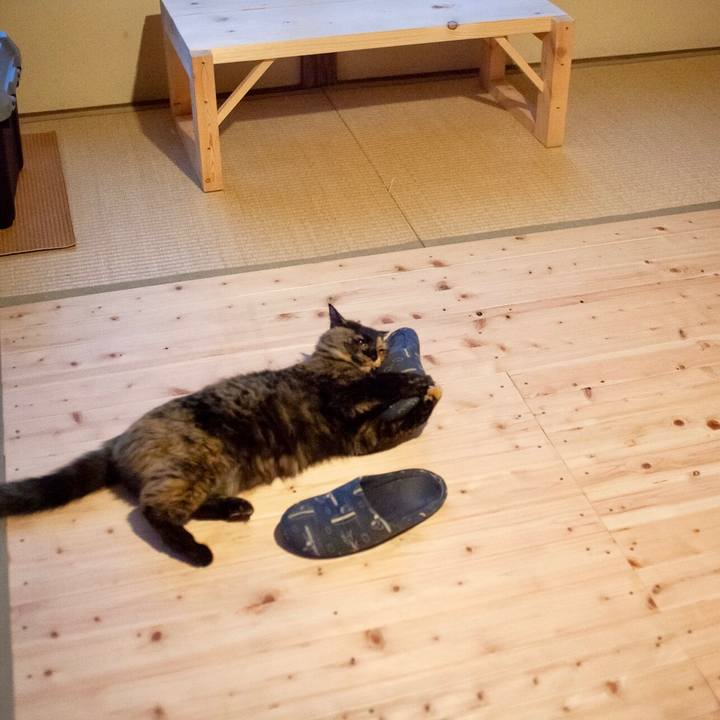 5a3e394d 27dd 4e9a ad2d d0be32488c5b 1579529991585