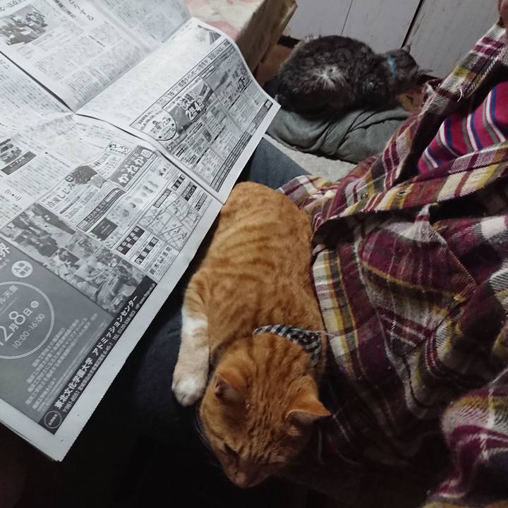 5a3e626e 291b 40cb 83f5 03b1b805b064 1575670847763