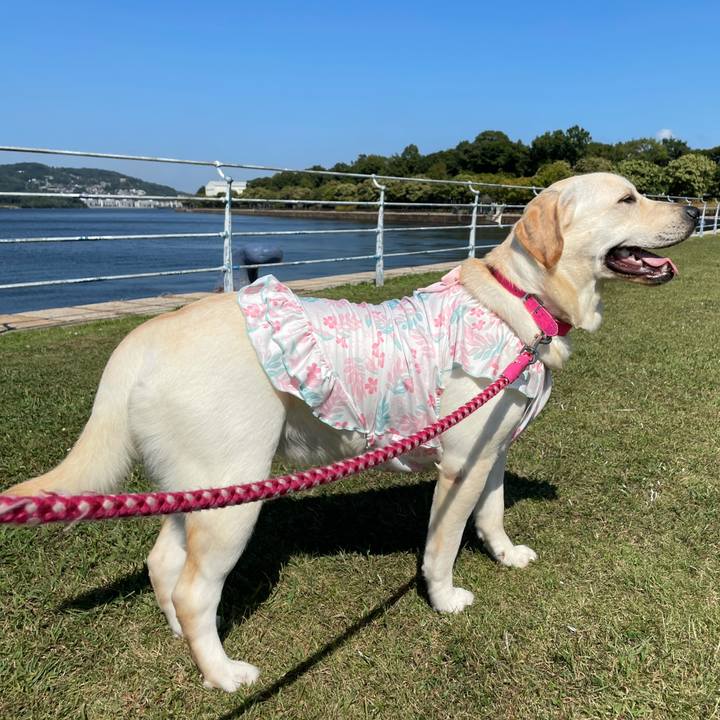 5a3e8dfd 0f6a 480c 9808 c7fbf845840b 1633785709164