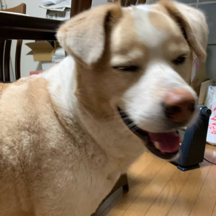 5a3e9d41 f439 430f bd06 ef51d3ed09c5 1584108226893