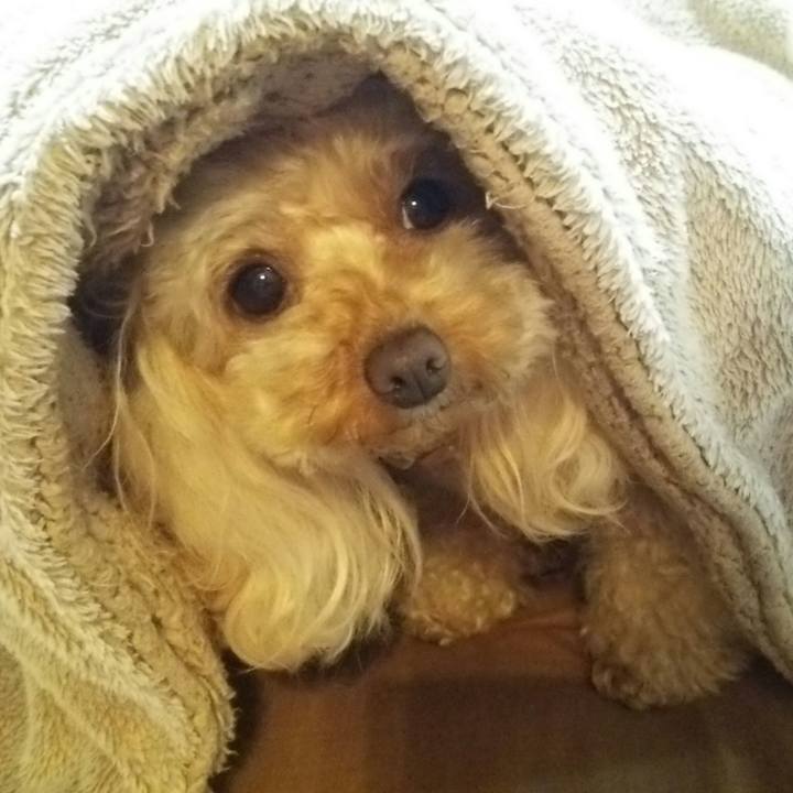 5a3ea852 eab4 46bb 881b be82855dde6e 1522670038433