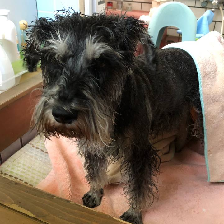 5a3ebfff 1e7f 4421 8f51 dd216f32efb9 1620552328885