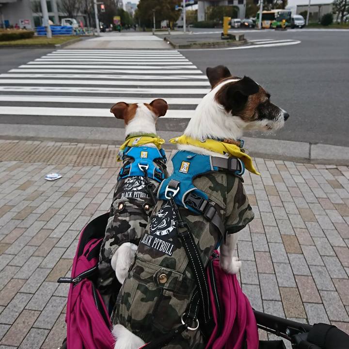 5a3ee590 e580 416c 89cb a97088a4d977 1553905226453