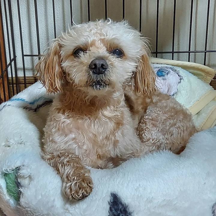 5a3f1af3 d997 4a7a 8fa4 da38b4ec4906 1647168545035