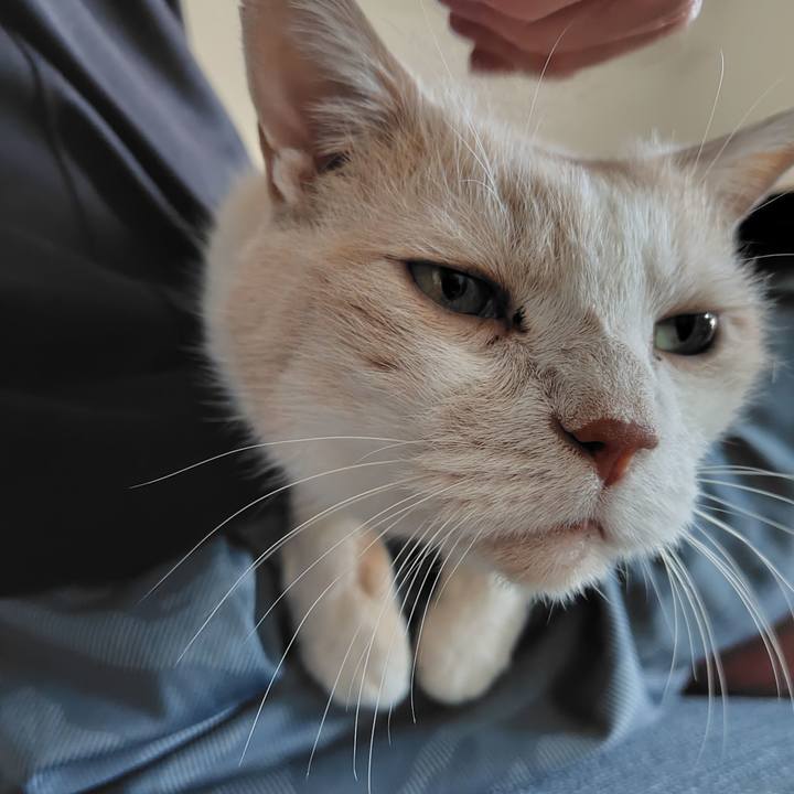 5a3f1eba bd99 45ad 8161 c34cec1bd261 1728857917074