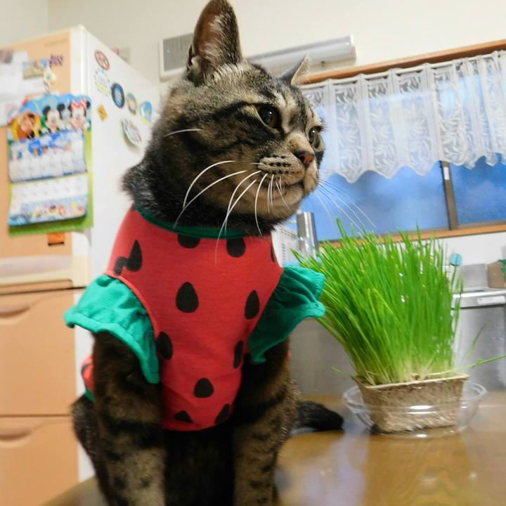 5a3f3d96 871d 4a38 8bbf 8e4db7652914 1561550105024