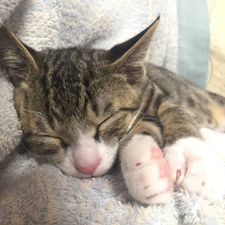 5a3f47c5 7748 437f a057 a39d1d3f28d4 1654818254953