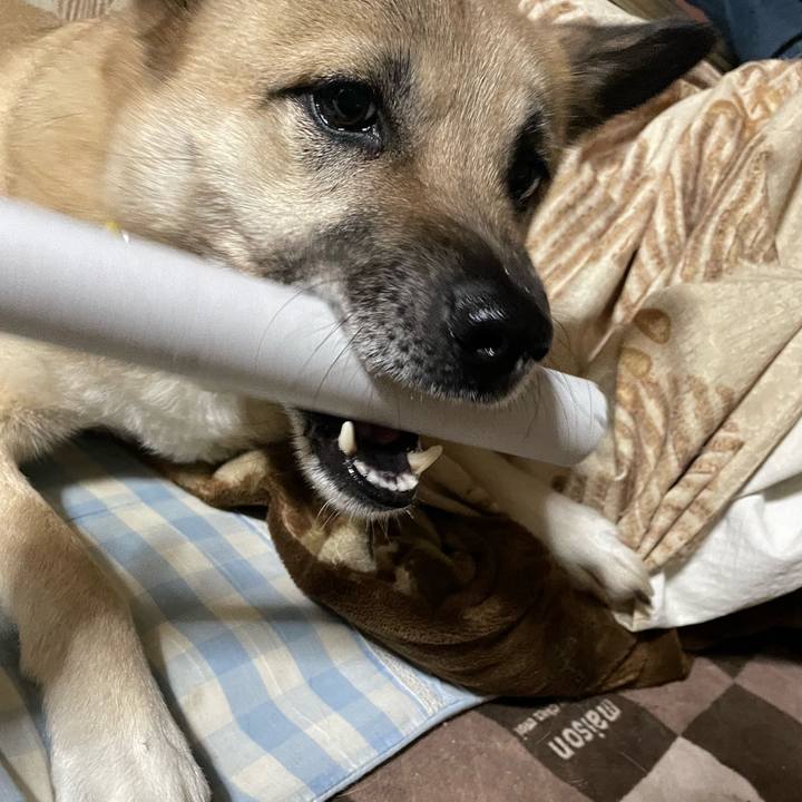 5a3f4b82 c403 4280 ba22 3f181ab9493f 1650370829690