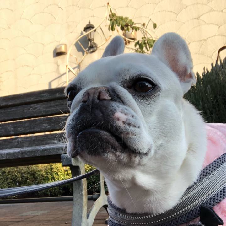 5a3f4f23 7194 4bbd be12 bf573bd54528 1643439921131