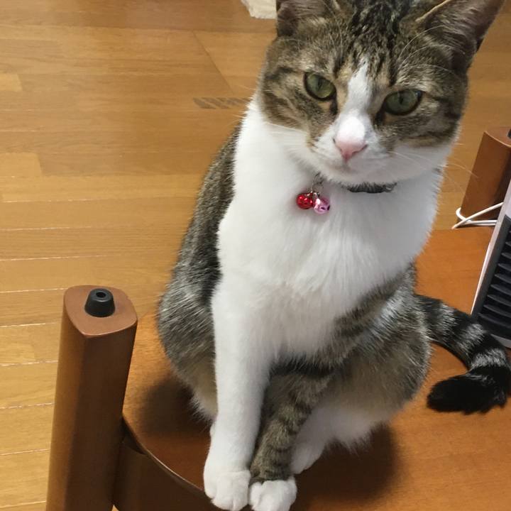 5a3f668f da90 4e0d 93d3 251a3a71e757 1680228094018