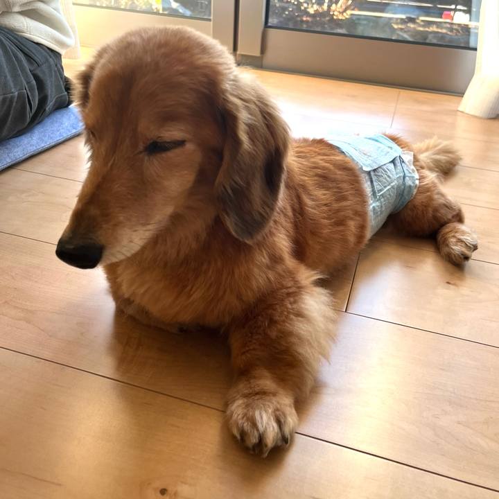 5a3f7de1 0436 4920 a820 34e2e7977354 1644153914743