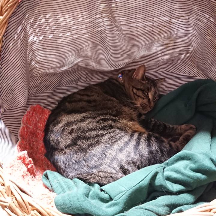 5a3f9474 e740 4f74 98c8 79b3f7c46a90 1642680718259