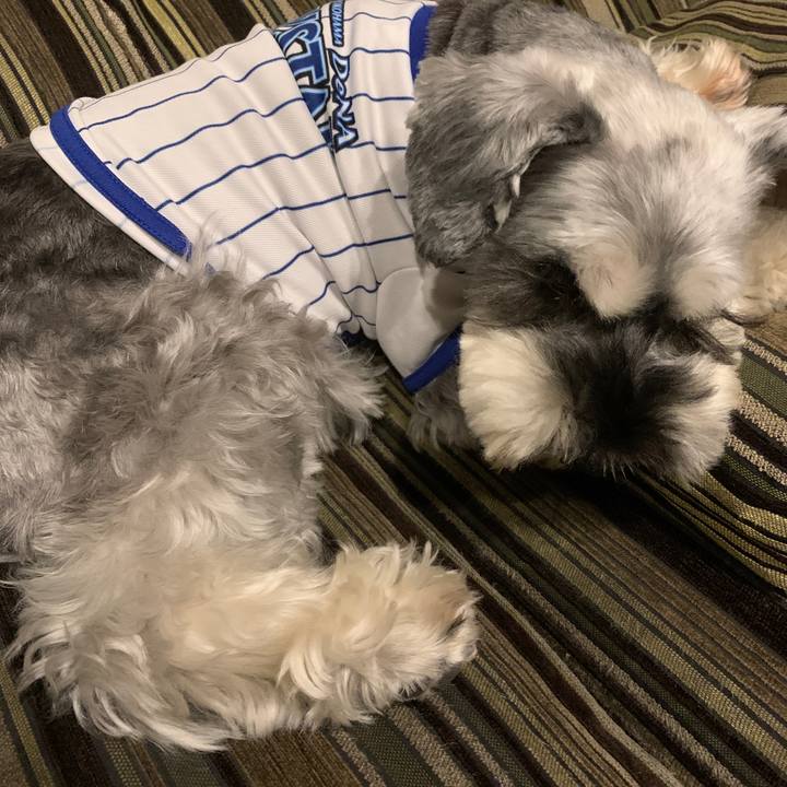 5a3fd1f6 e6c1 4a12 9bc3 3d840345b278 1665405423282