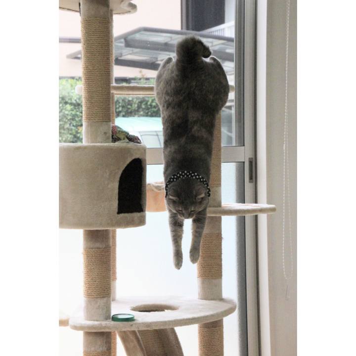 5a3fd64d 4c88 45ff 8891 cef642ce7035 1661141448386