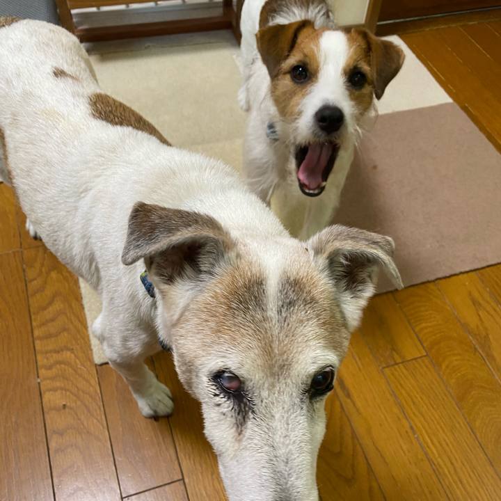 5a4072ed 8299 49c2 b5de e5657cf0e333 1720586044364