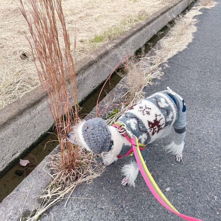 5a407b11 8fbf 4897 8b91 98a9320405c7 1764575048756