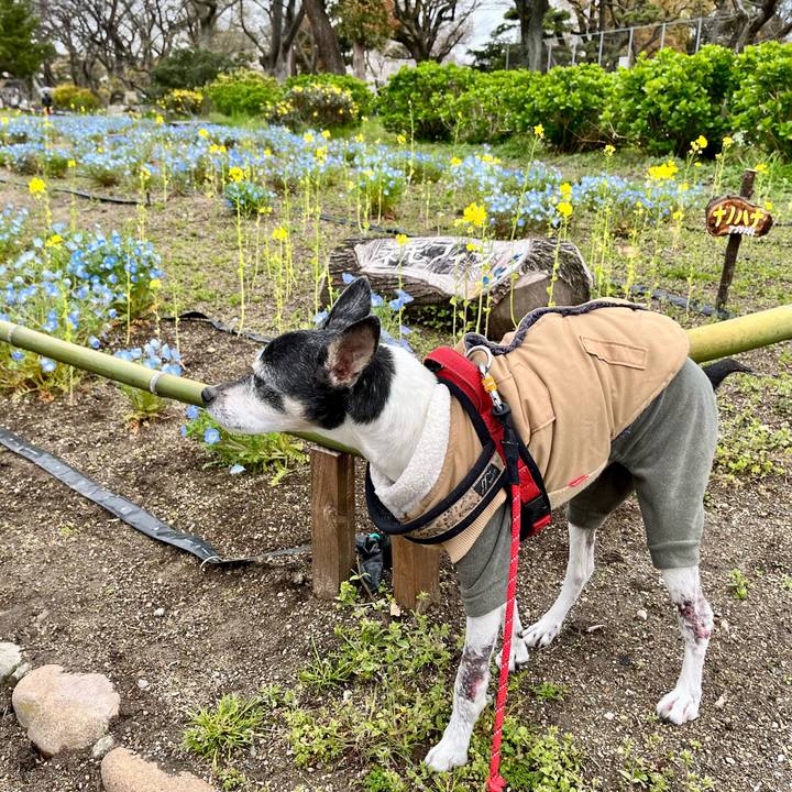 5a40829d 35df 4dac 9f4a 543c8f1ece86 1648975326061