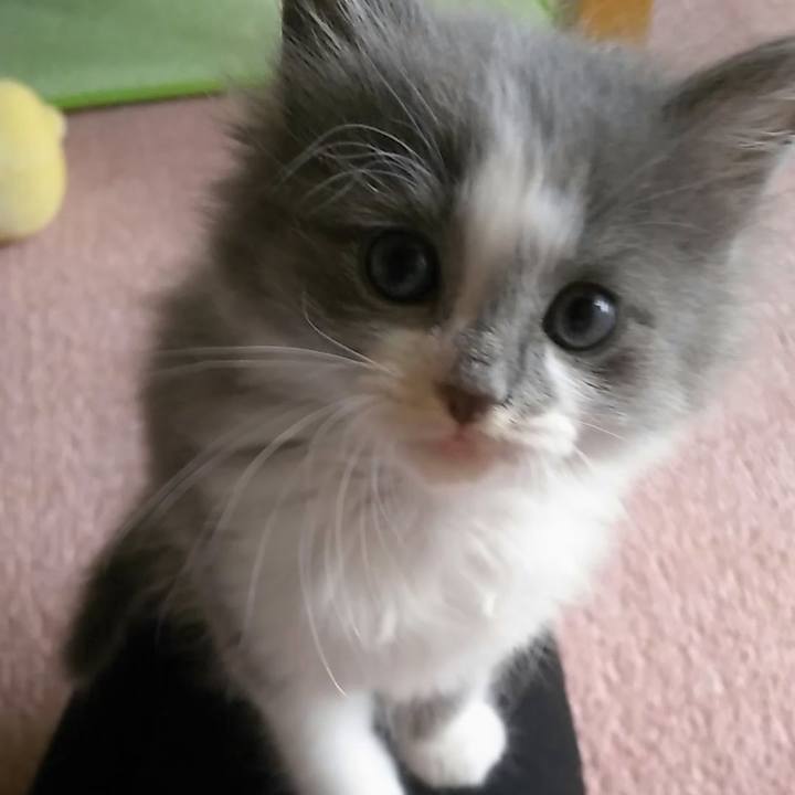 5a40945c d386 4219 a533 f8371288b3a5 1559109777995