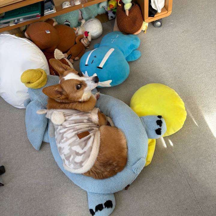 5a409a78 f251 499e 8e94 46c52084b809 1768282926717