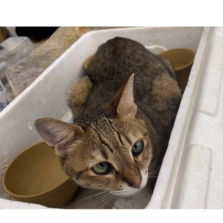 5a40b700 5f03 4a9d a584 20bacc3c3a28 1726636771109