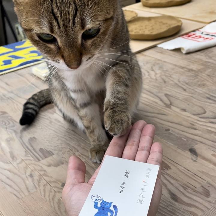 5a40bf8d 9546 4d80 9265 86e733aeb662 1723358834915