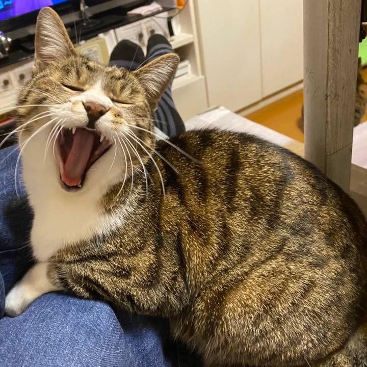 5a40ec16 a6b1 4c4a 8b9a f8a3b379fb61 1619938153347