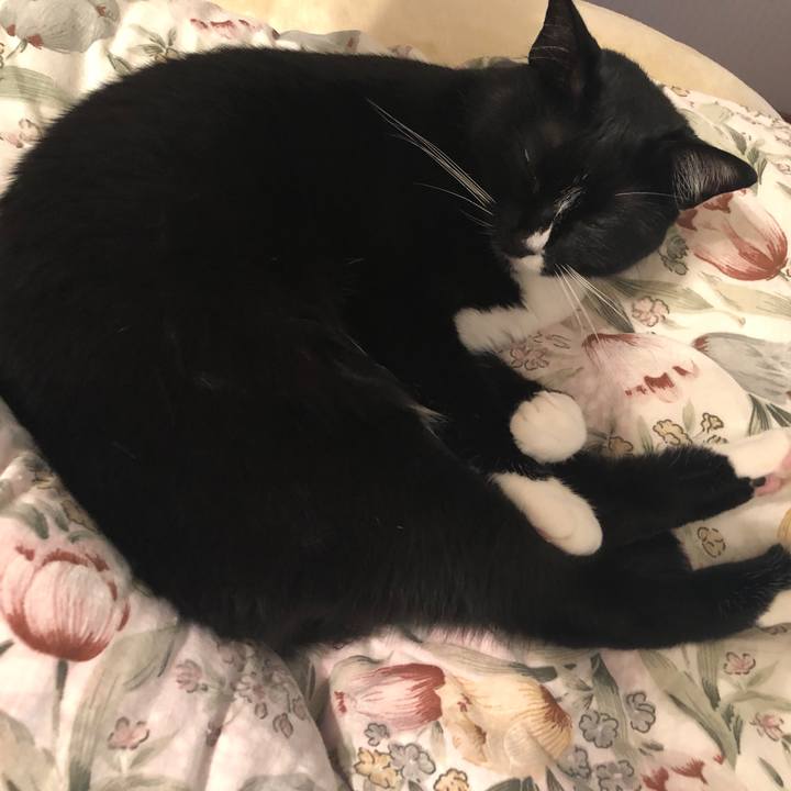 5a410034 26ca 4dd4 bf95 3d6819451345 1523227108221